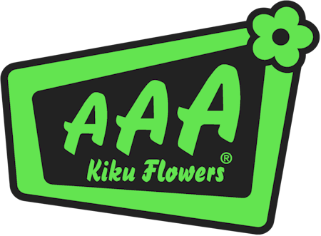 Kiku flowers groen